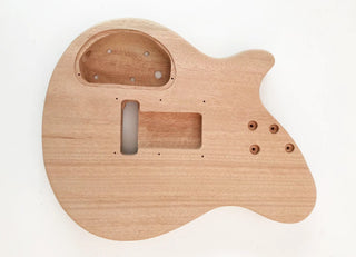 EV Style - DIY Electric Guitar Kit